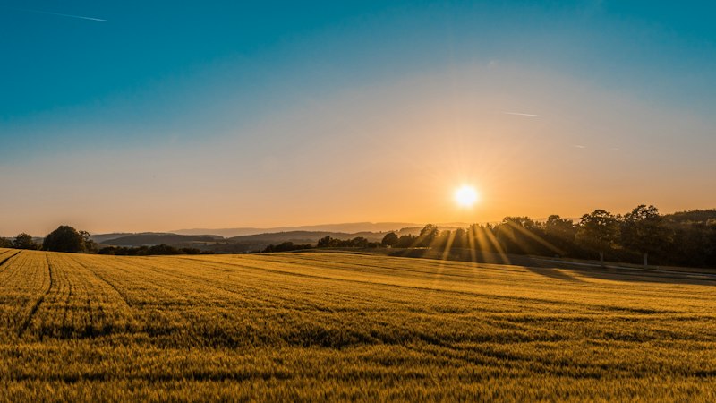 Agriculture and livestock machinery